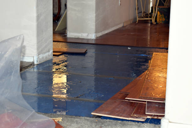 Professional Burst Pipe Cleanup technician working in Kettle River, MN